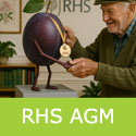 Haganta Plum Tree RHS AGM